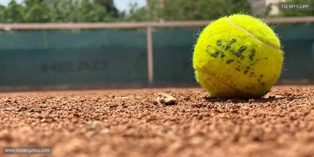 独家视角解读赛事,深度剖析战术精髓🎙️